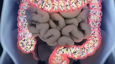 Probiyotikler hakkında merak edilenler