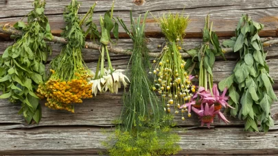 Uzmanlar üç bitkinin şaşırtan faydasını açıkladı