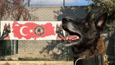 Zulalar onlardan kaçamıyor: Konya’da hassas burunlar görevde