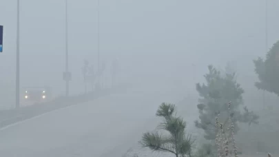 Elazığ'da yoğun sisten bir mahalle adetakayboldu