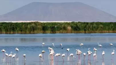 İbrahim Yumaklı: Türkiye'de 131 sulak alan koruma altında