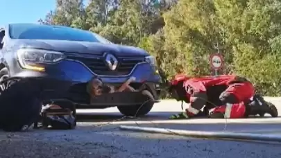 İlginç kaza! Köpek tampona sıkıştı