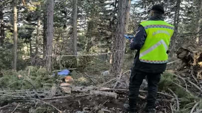 Kütahya'da ağaç keserken altında kalan işçi hayatını kaybetti