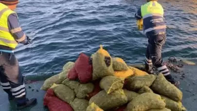 İstanbul'da kaçak midye avcılığı yapan 4 kişi gözaltına alındı