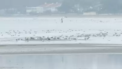 Silivri'de deniz metrelerce çekildi: İlk defa böyle görüyorum