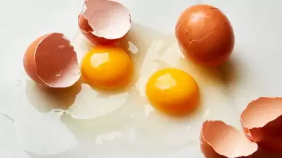 Bayat Yumurta Nasıl Anlaşılır?