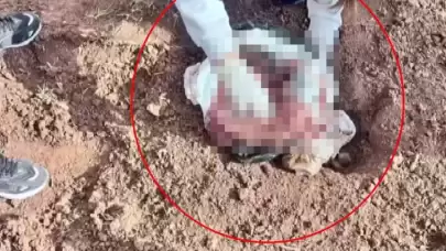 Şırnak'ta, poşet içerisinde yeni doğmuş kız bebek cesedi bulundu