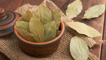 Defne Yaprağının Faydaları Nelerdir? Sağlığınız İçin Bilmeye Değer 10 Faydası