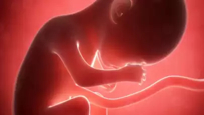 Hamilelikte 10. hafta belirtileri neler? İşte o belirtiler...