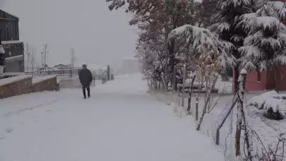 Van'da kar esareti: Uçak seferleri iptal oldu