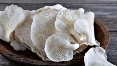 İstiridye mantarı ile sağlıklı beslenme: B vitamini ve minerallerle zenginleşen diyet