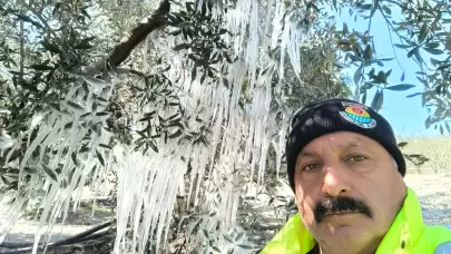 Çiftçi ağaçlardaki buz sarkıtlarını görünce şaştı kaldı