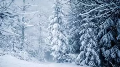 Kışın kar nasıl oluşur? Kar kaç derecede yağar?