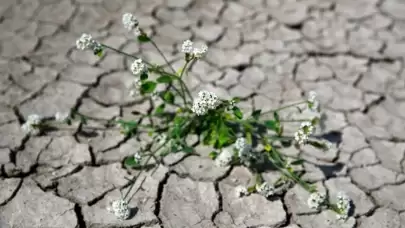 Türkiye’nin ilk “İklim Kanunu” TBMM’ye geliyor