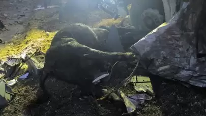 Ankara'da büyükbaş hayvan yüklü tır devrildi: 1 ölü, 1 yaralı