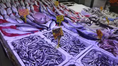 Samsun'da hamsi fiyatları dalgalanmaya devam ediyor