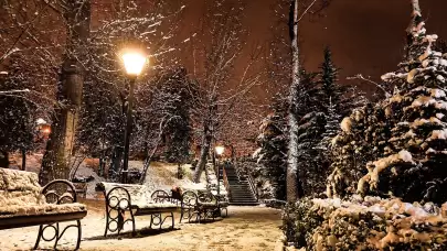 Kuğulu Park'ta kar kartpostallık görüntüler oluşturdu