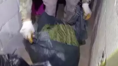 Şanlıurfa'da uyuşturucu operasyonu: 2 zanlı tutuklandı