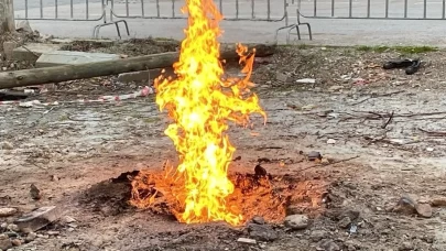 Kocaeli'de 11 gündür sönmeyen ateş