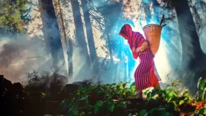 9 bine yakın fotoğraftan 14’ü ödüle layık görüldü