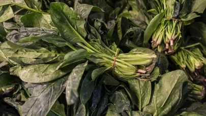 Kan dolaşımını güçlendiren pazının faydaları