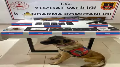 Yozgat'ın Şefaatli ilçesinde operasyon: 17 şüpheli yakalandı