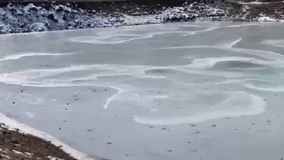 Mersin'in Erdemli ilçesindeki Tozlu Göleti'nin yüzeyi buzla kaplandı