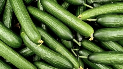 Salatalık yerken sakın bunu yapmayın