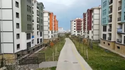 Ocak ayı konut satış rakamları belli oldu