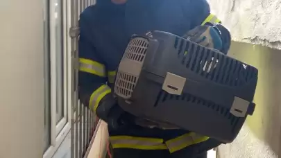 İki bina arasında mahsur kalan kedi kurtarıldı