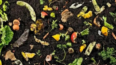 Çöp değil, doğal gübre! Bu atıkları bahçenize atarak toprağı canlandırın