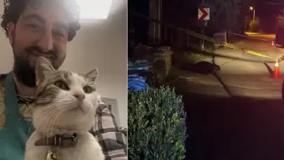 Son paylaşımı yürekleri dağladı! Annesiz büyüdü, kazada engelli kaldı ve yine kaza kurbanı oldu