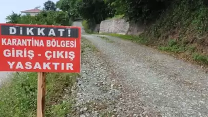Şap alarmı! Köyde karantina uygulaması başlatıldı