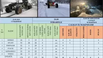 Kar sonrası kapanan 179 köy yolundan 122'si ulaşıma açıldı