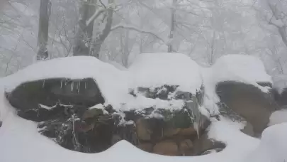 Samsun'un yüksek kesimlerinde bulunan 1224 rakımlı Nebiyan Dağı beyaz örtüyle kaplandı!
