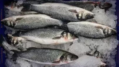 Karadeniz'in su ürünleri ihracatı ocakta 19 milyon doları aştı