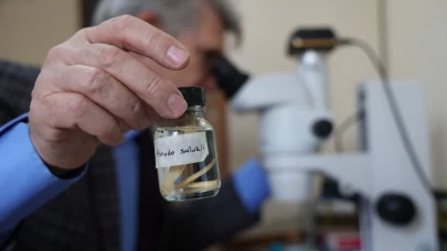 Türk bilim insanlarından dev keşif: 10 milyon yıllık tıp sülüğü dünyaya tanıtıldı!