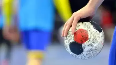 Türkiye Hentbol Federasyonu Başkan Vekili Ali Ceylan istifa etti