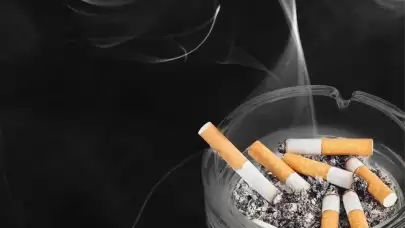 Türk Toraks Derneği: Her yıl 8 milyon insan tütün nedeniyle ölüyor