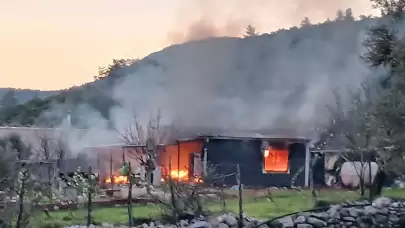 Bodrum'da odun sobasından çıkan yangın evi kül etti