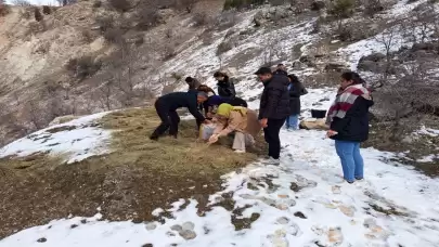 Üniversiteli gençler, yaban hayvanları için doğaya yem bıraktı