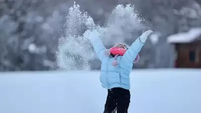 Eğitime kar molası! İşte okulların tatil edildiği iller