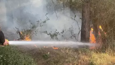 Osmaniye’de orman yangını