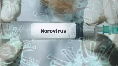Dünyadaki yeni tehlike: Norovirüs