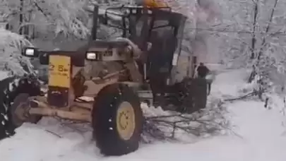 Sinop'un yüksek kesimlerinde karla mücadele çalışmaları devam ediyor