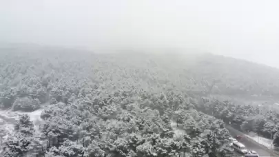 Aydos Ormanı beyaza büründü