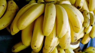 Güçlü kemikler için doğal destek