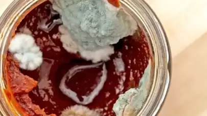 Salçanız küfleniyorsa bu yöntemi deneyin! Sadece 1 kaşık yeterli