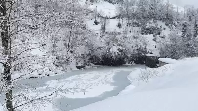 Rize'nin Güneysu ilçesindeki  doğal güzellikler buzla kaplandı