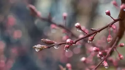 2025 Cemre Düşme Tarihleri: İkinci ve Üçüncü Cemre Ne Zaman Düşecek?